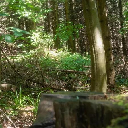 Apartamento Gorczanski Widok *