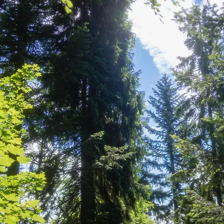 Apartamento Gorczanski Widok