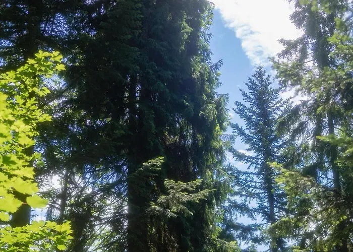 Apartment Gorczanski Widok