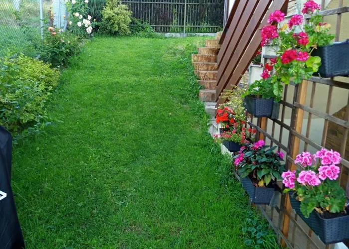 Apartment Gorczanski Widok *